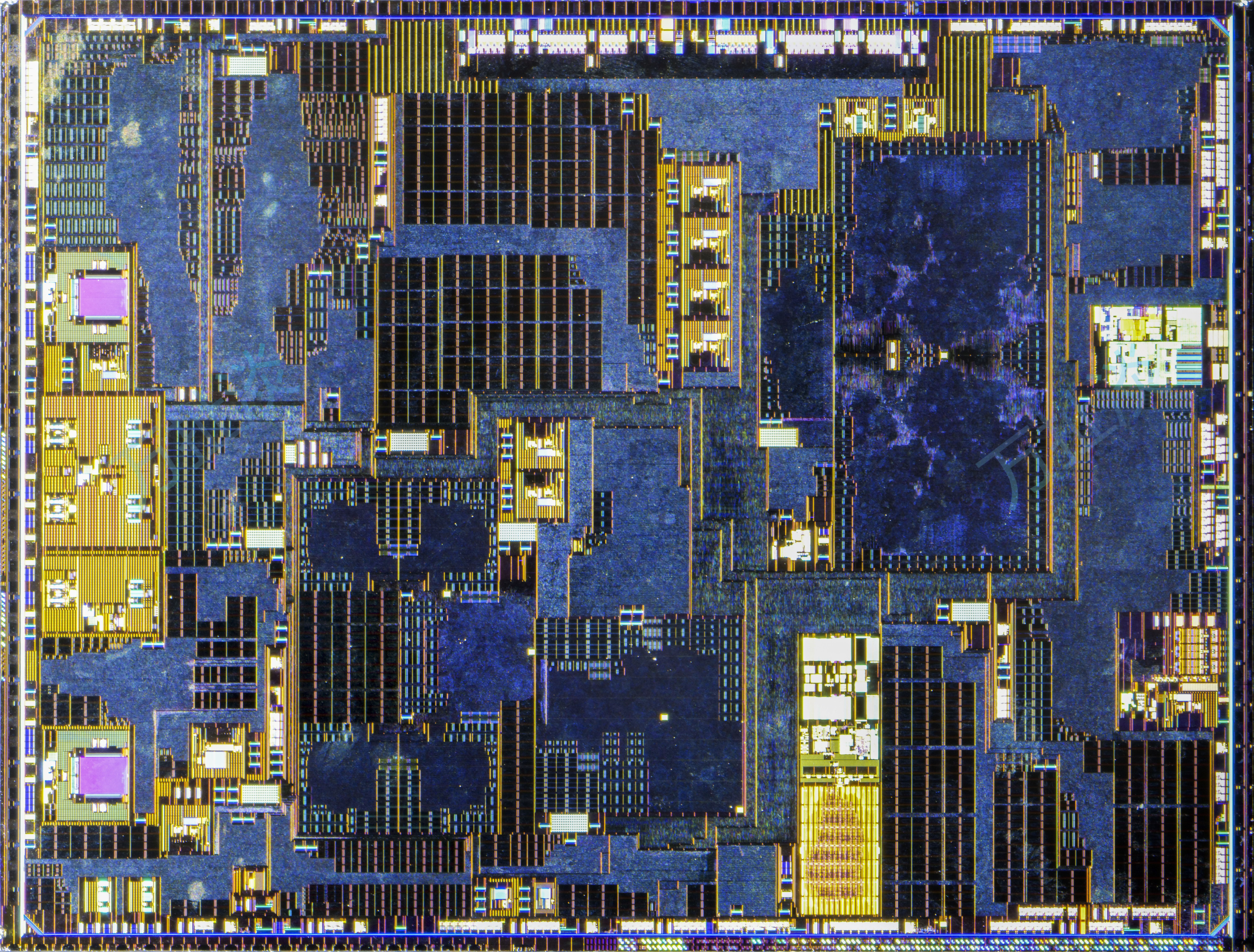 Samsung Exynos W1000